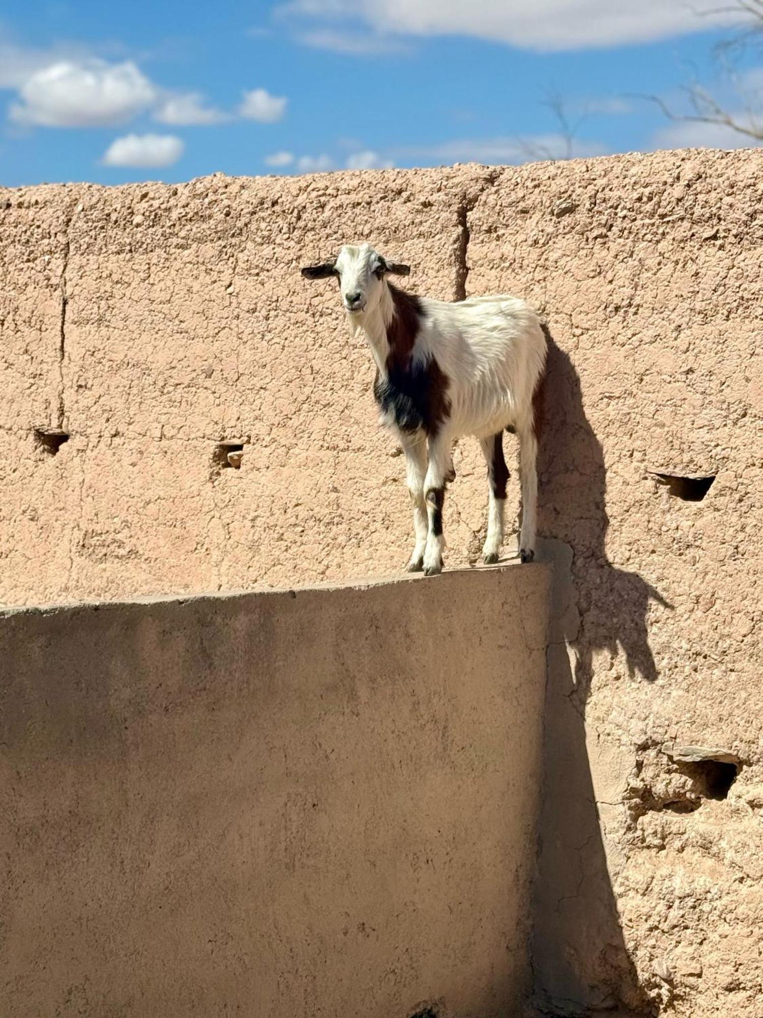 Agafay Desert * El Karia